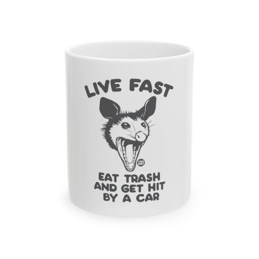 Live Fast Eat Trash And Get Hit By A Car Mug